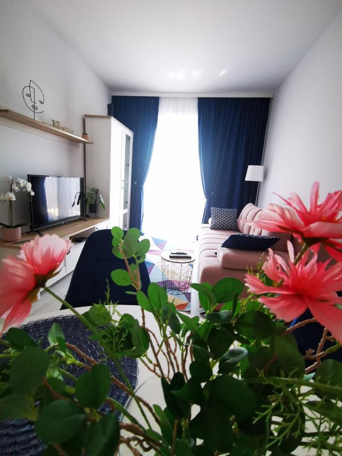 Karra Residence Timisoara - Autorizat Ministerul Turismului Экстерьер фото