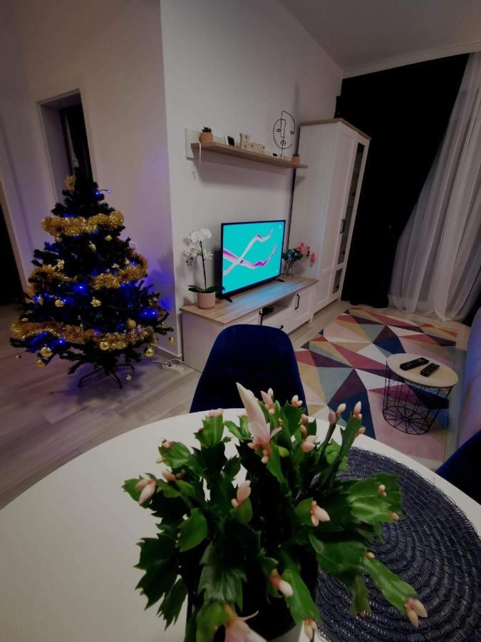 Karra Residence Timisoara - Autorizat Ministerul Turismului Экстерьер фото
