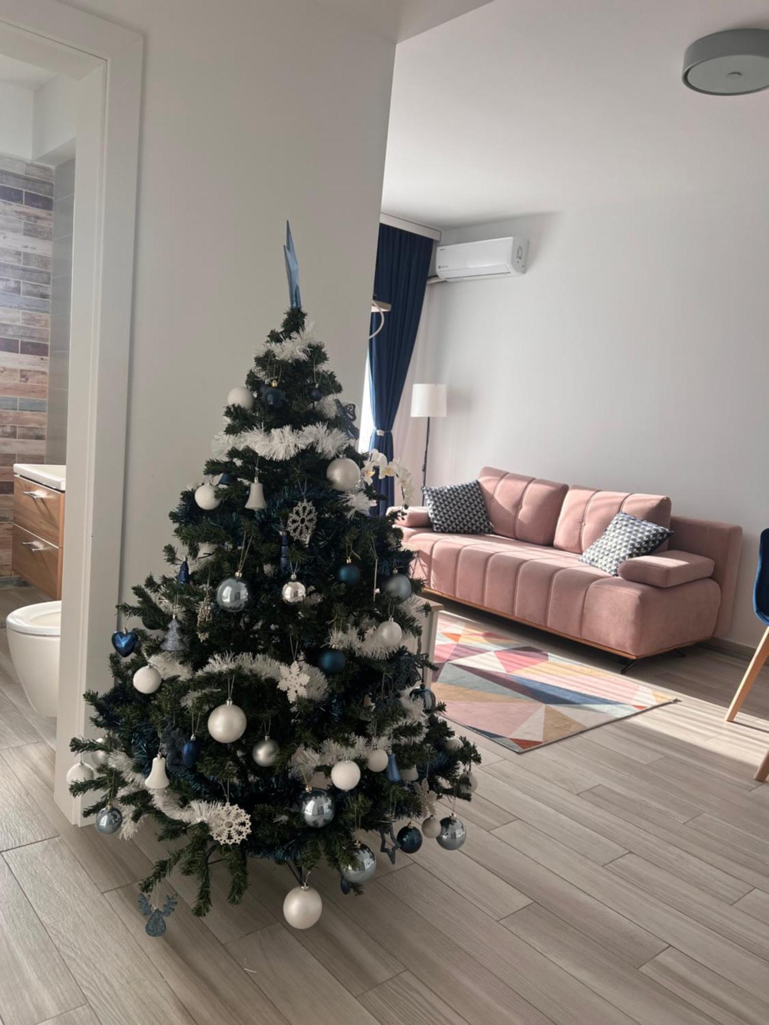 Karra Residence Timisoara - Autorizat Ministerul Turismului Экстерьер фото